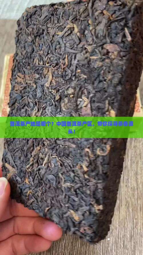 普洱茶产地是哪个