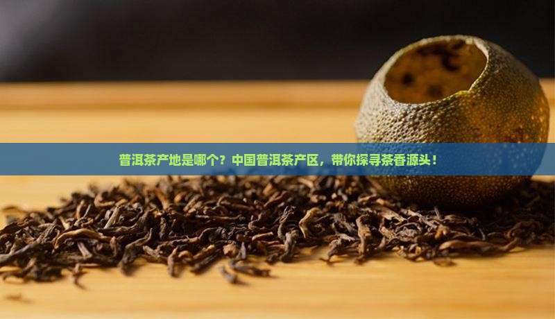 普洱茶产地是哪个