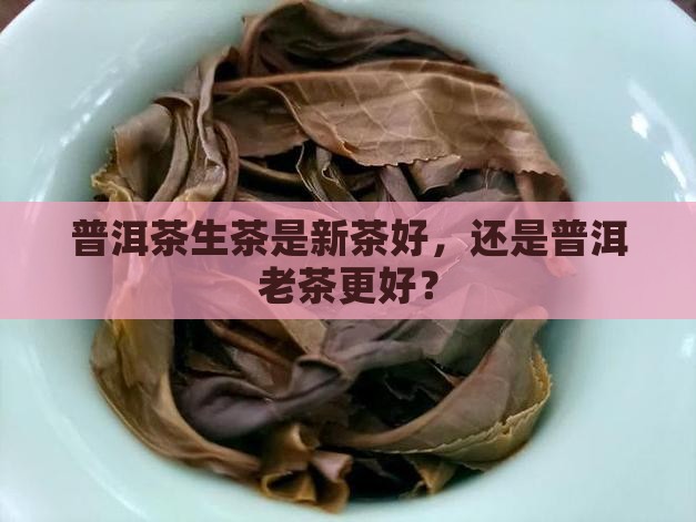 普洱茶生茶是新茶还是老茶好