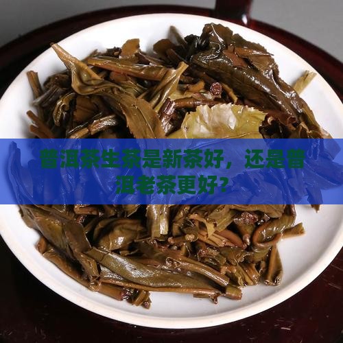 普洱茶生茶是新茶还是老茶好