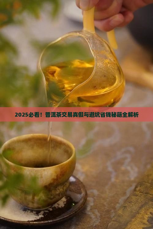 现货普洱茶交易真假