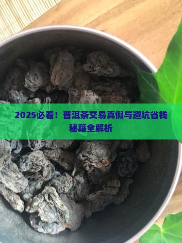 现货普洱茶交易真假