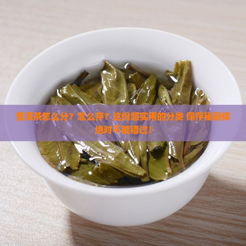 普洱茶的分类和保存