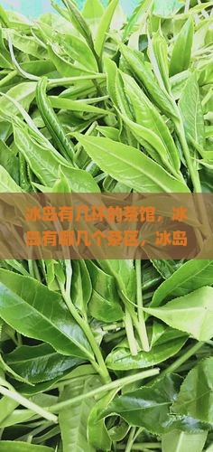 冰岛有几环的茶