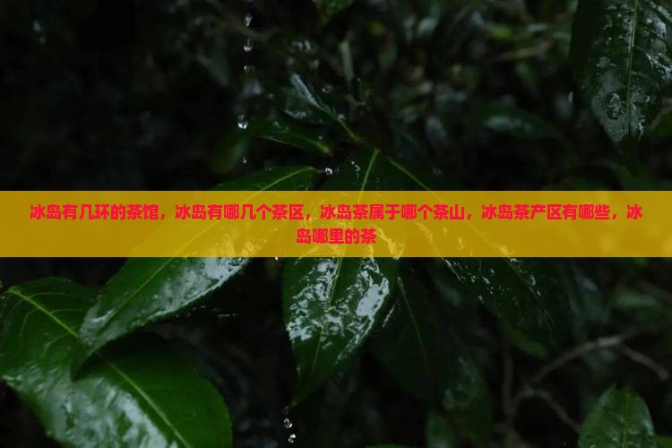 冰岛有几环的茶
