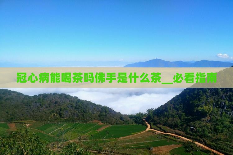 冠心病能喝茶吗佛手是什么茶