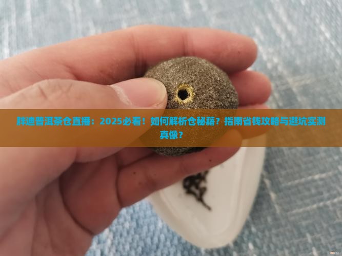 胖迪普洱茶仓直播