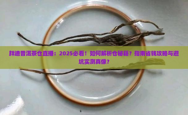 胖迪普洱茶仓直播