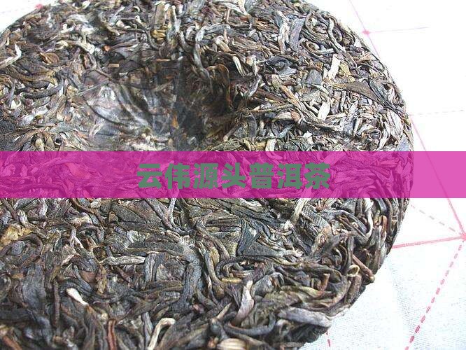 云伟源头普洱茶