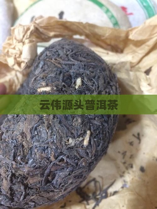 云伟源头普洱茶