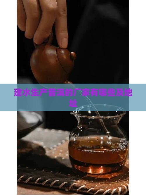 建水生产普洱茶的厂家