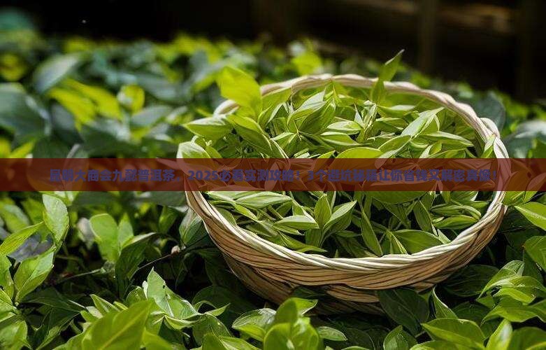 昆明大商会九懿普洱茶