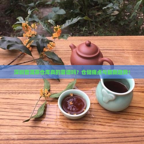 深圳普洱茶仓库