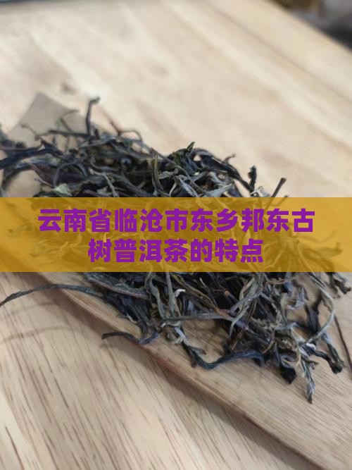 邦东古树普洱茶的特点