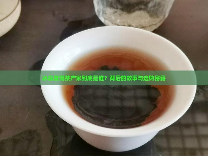 冰岛普洱茶产家