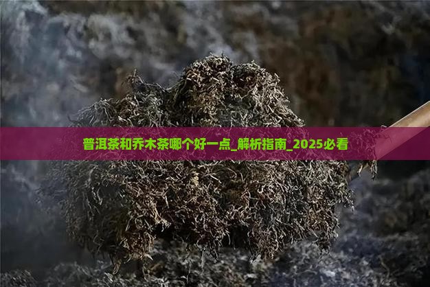普洱茶和乔木茶哪个好一点