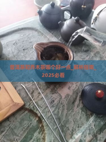 普洱茶和乔木茶哪个好一点