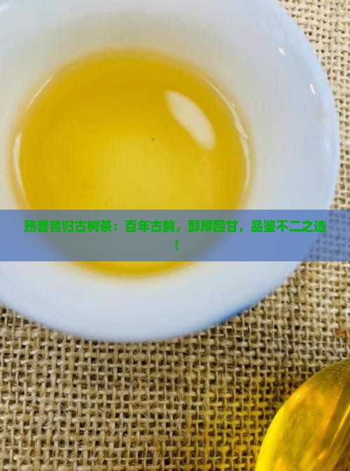 熟普昔归古树茶