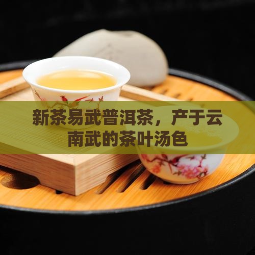 新茶易武茶的汤色