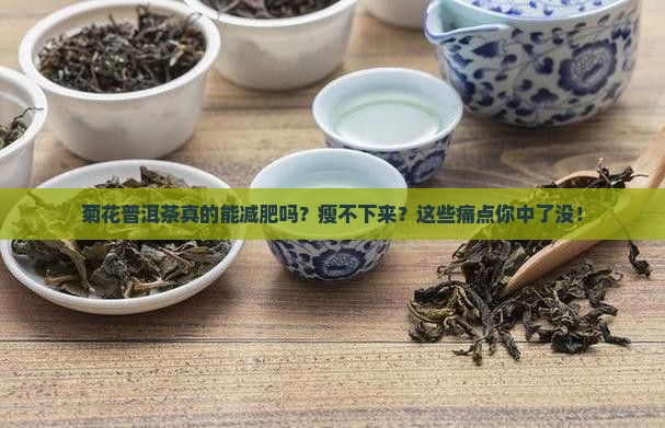 菊花普洱茶减肥吗