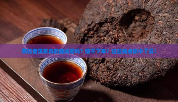 菊花普洱茶减肥吗
