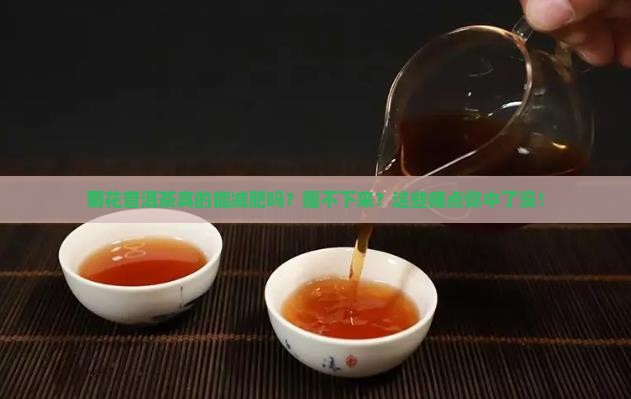 菊花普洱茶减肥吗