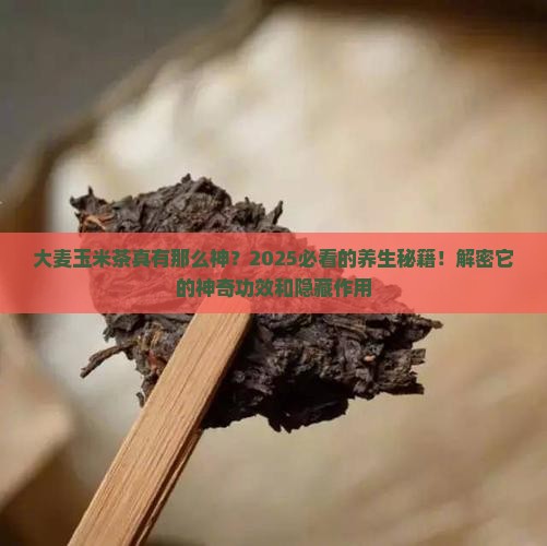 大麦玉米茶的功效与作用