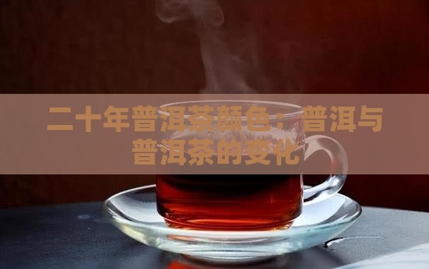 二十年普洱茶颜色