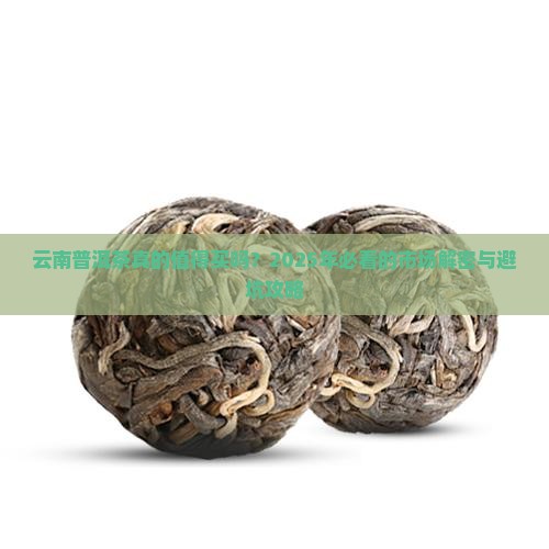 关于云南普洱茶的市场分析