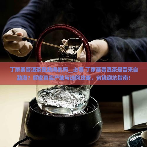 丁家寨普洱茶是勐海的吗