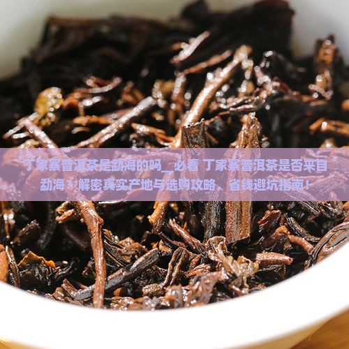 丁家寨普洱茶是勐海的吗