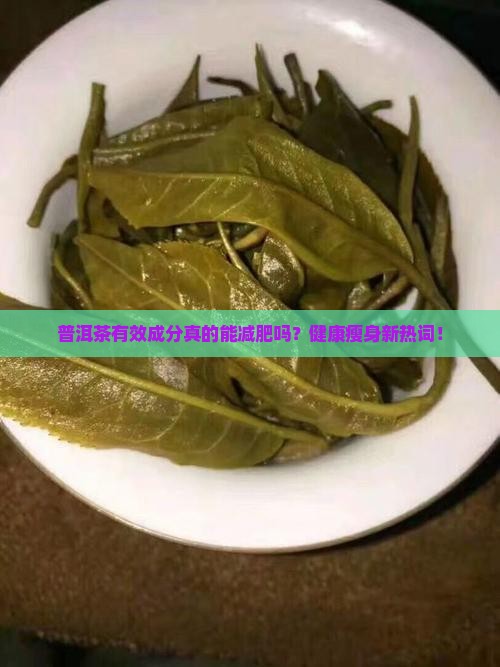 普洱茶有效成份