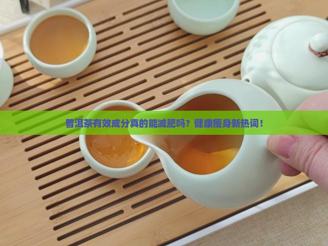 普洱茶有效成份