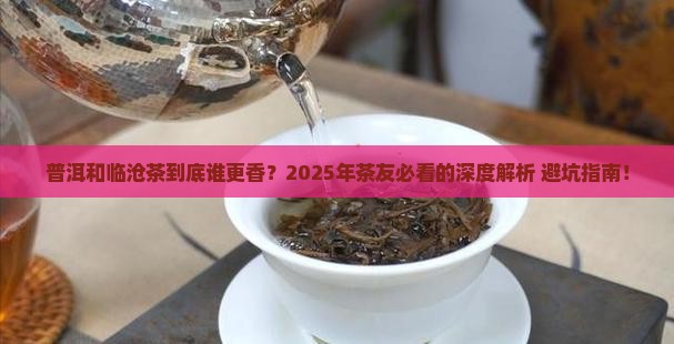 普洱和临沧茶的区别