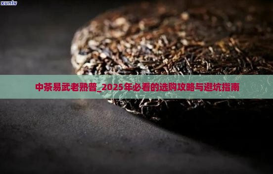 中茶易武老熟普