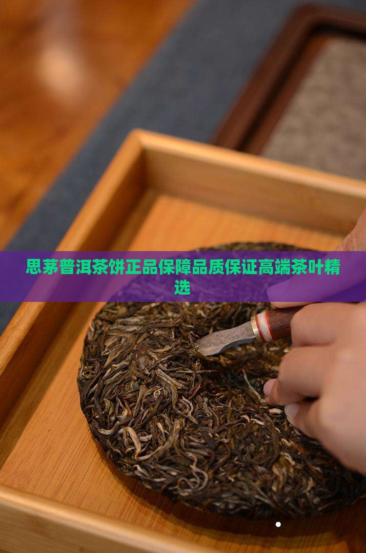 思茅普洱茶饼品牌