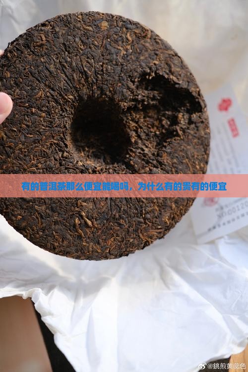 有的普洱茶那么便宜能喝吗