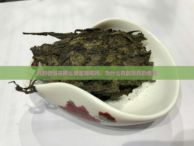 有的普洱茶那么便宜能喝吗
