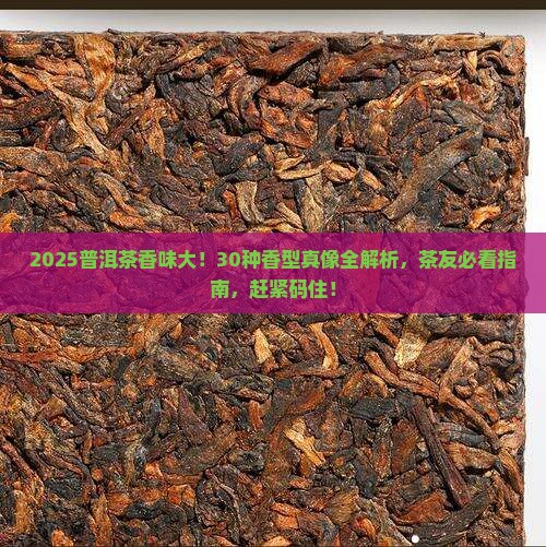 普洱茶30种香味排名