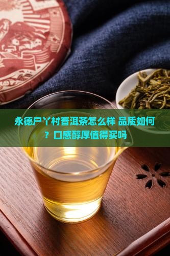 永德户丫村普洱茶怎么样