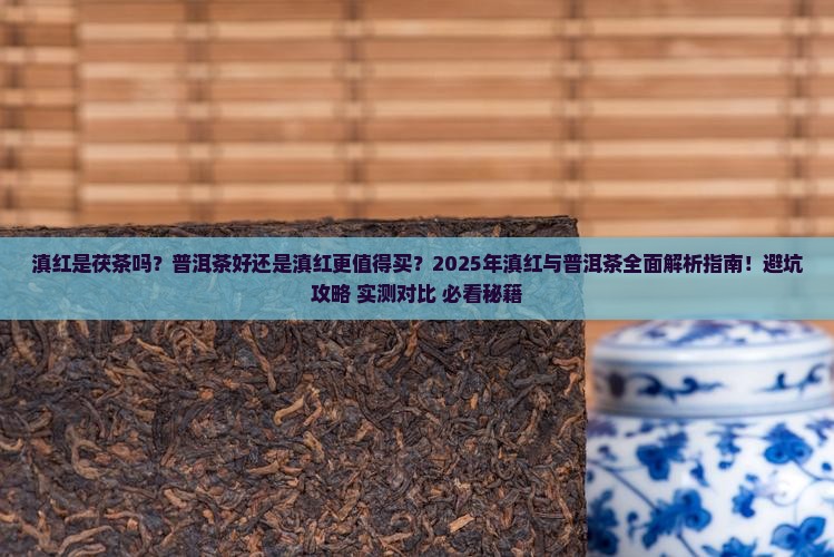 滇红是茯茶吗还是普洱茶好