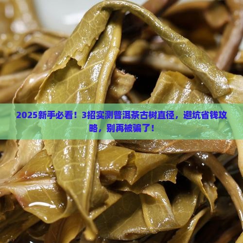 普洱茶古树直径
