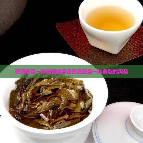 普洱茶是一种典型的黑茶