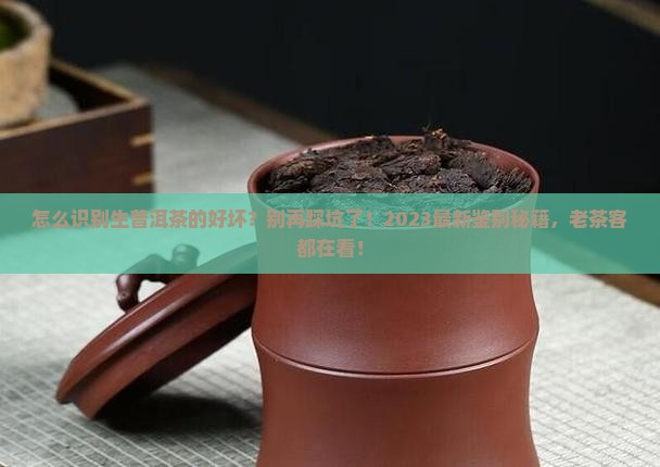 怎么识别生普洱茶的好坏