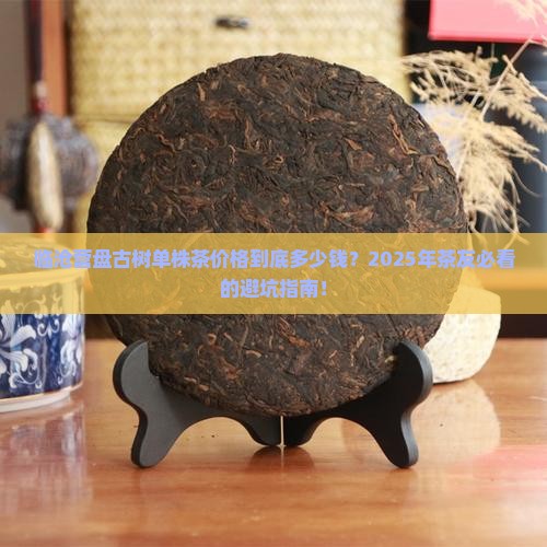 临沧营盘古树单株茶价格