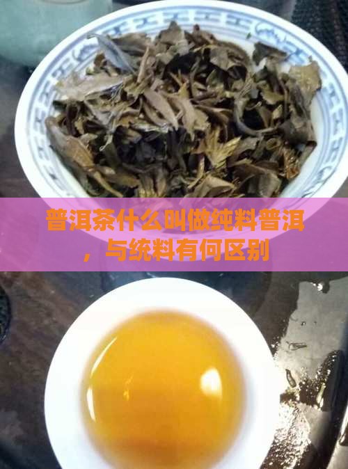 什么叫做普洱茶统料