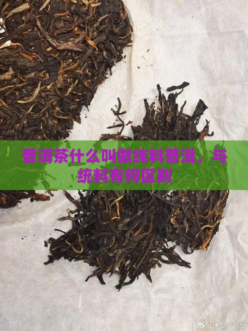 什么叫做普洱茶统料