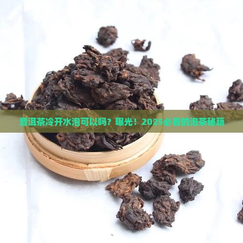 普洱茶冷开水泡可以吗