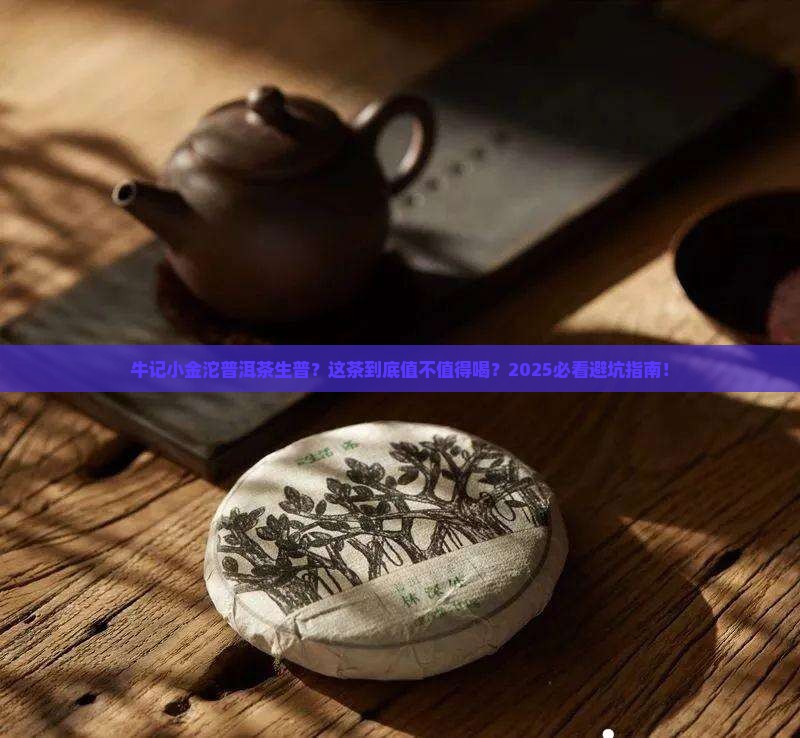 牛记小金沱普洱茶生普