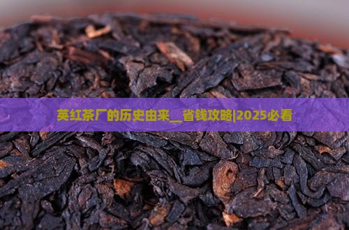英红茶厂的历史由来